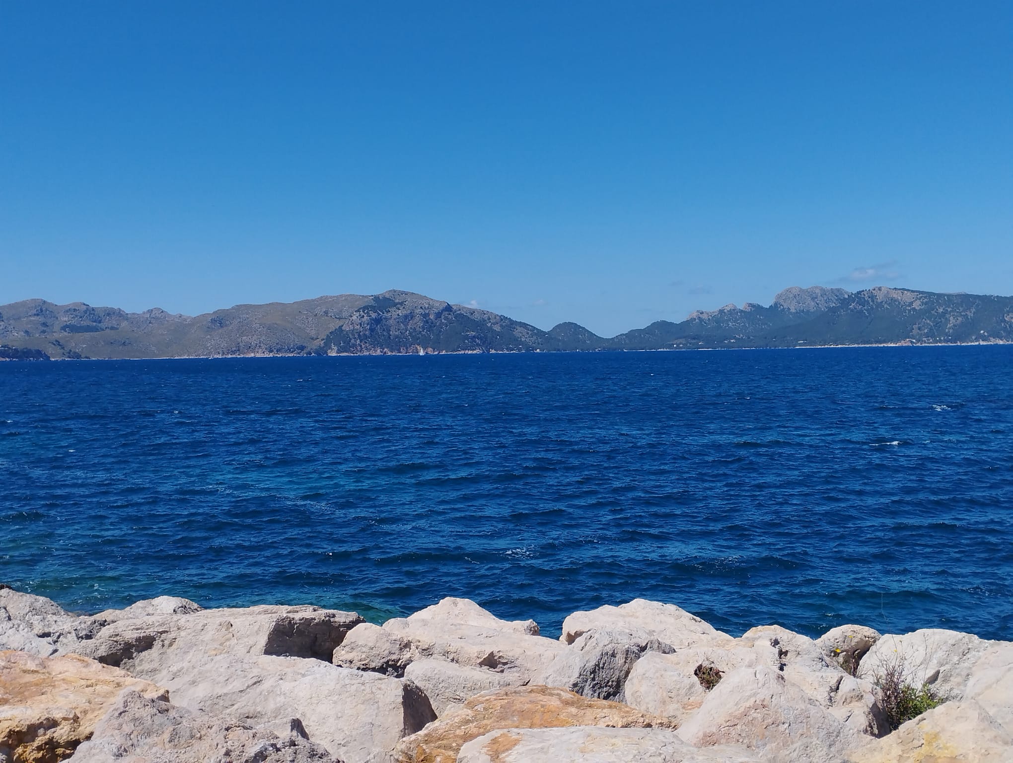 Therapeutische Betreuung bei Casavitale