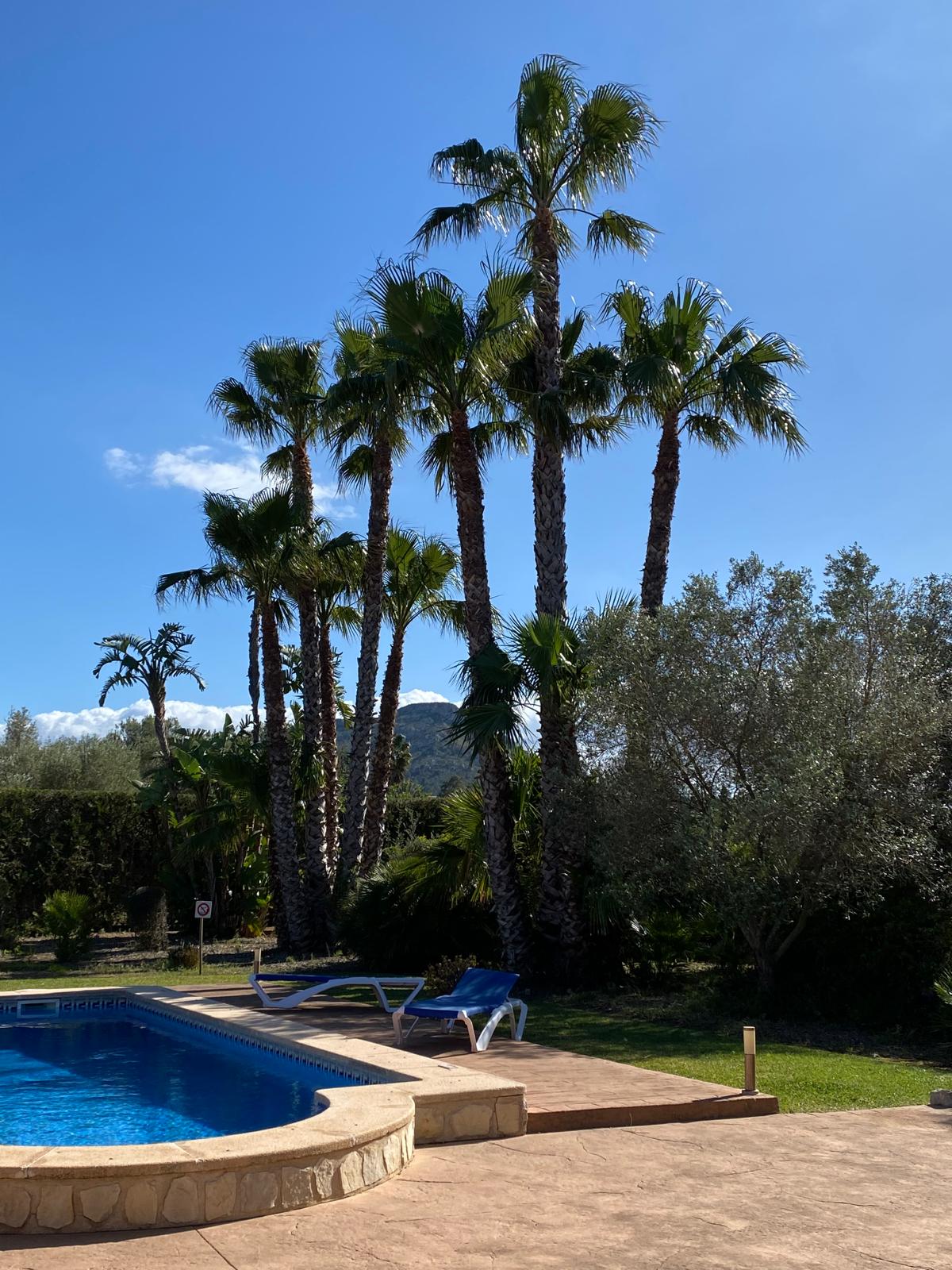 Gemeinschaft und Austausch bei CASA VITALE - Menschen verschiedener Herkunft